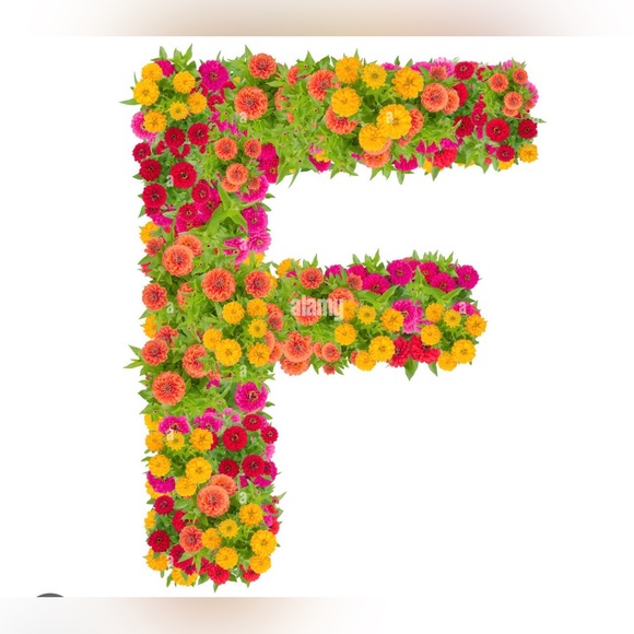 sfayebaoit